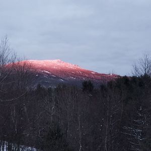 Meet your Posher, Anya